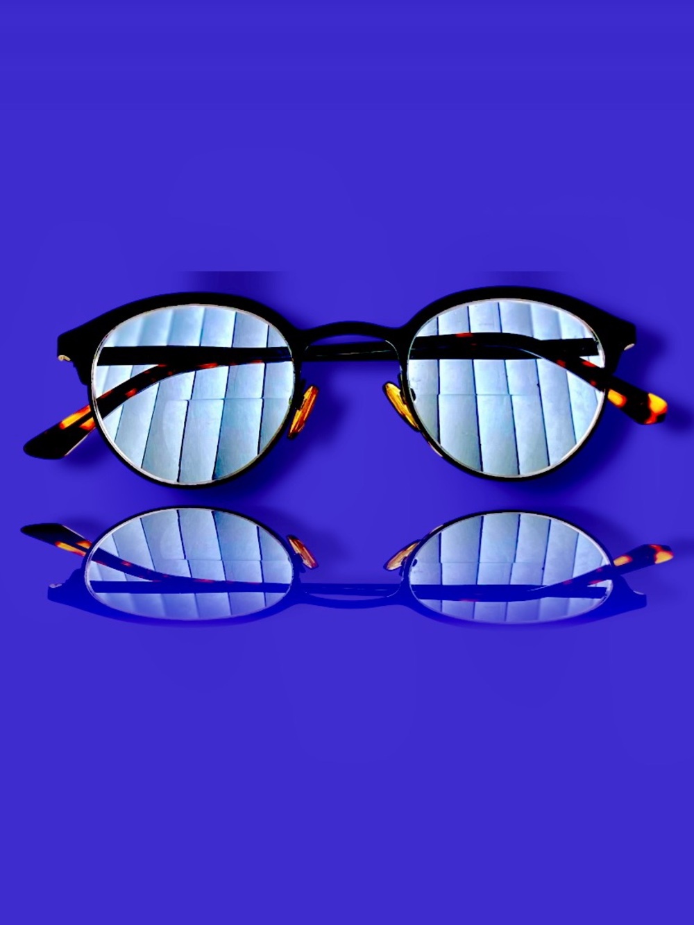 EBD NWOT Bifocal reader sunglasses +2.25